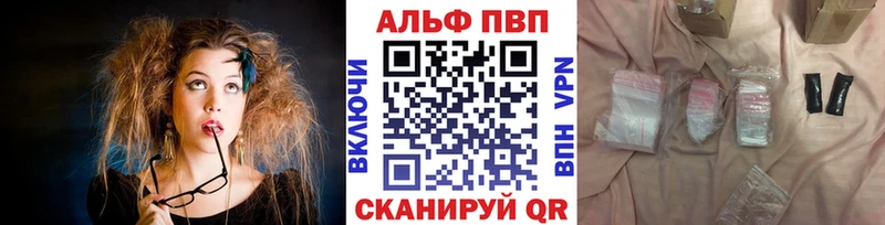 A-PVP СК  Кудрово 