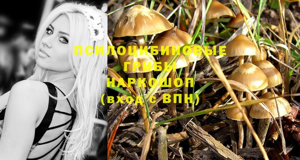 каннабис Алексин