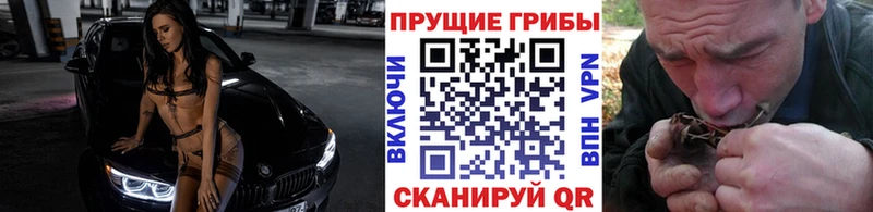 хочу наркоту  мега рабочий сайт  Псилоцибиновые грибы Psilocybe  Кудрово 